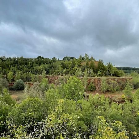 Apartmán Studio Situe Aux Abords De La Foret Avec Parking Differdange Exteriér fotografie